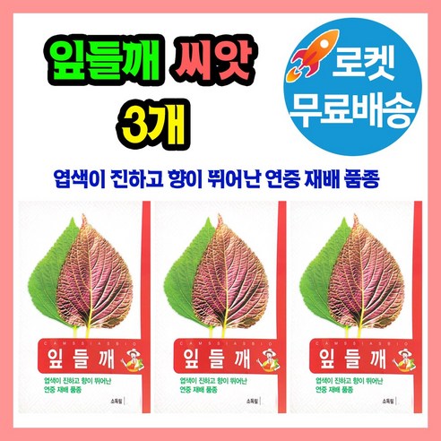 잎들깨 깻잎 씨앗 종자 씨 채소씨앗 쌈채소, 3개