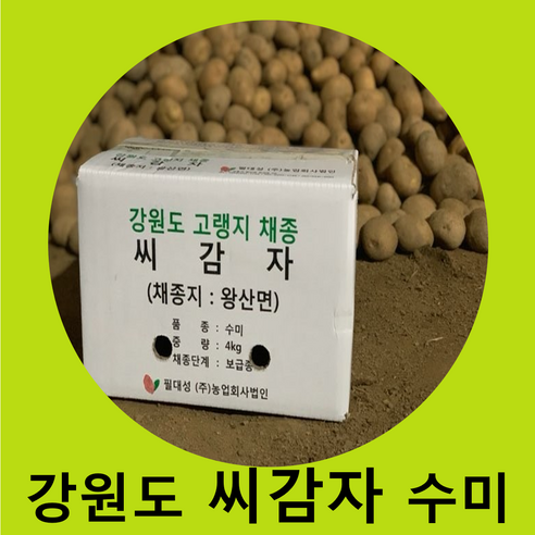 씨감자 정품 수미 4kg / 10kg / 20 kg 보급형 /수미감자/수미씨감자/ 강원도감자/보급종, 2개