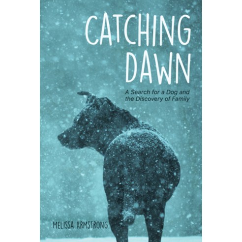 Catching Dawn Paperback, Lantern Publishing & Media