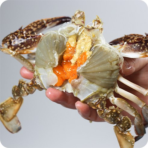 연평도 알배기 특 암꽃게 (급냉), 3kg(6~9미), 1개