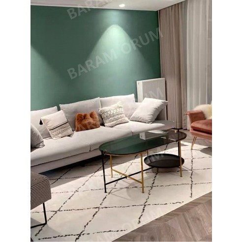 공간에 예술을 더하는 모로칸 에스닉 단모 카페트