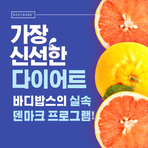 실속 1주 덴마크 다이어트 프로그램, 1주 체험상품 마테차, 1개