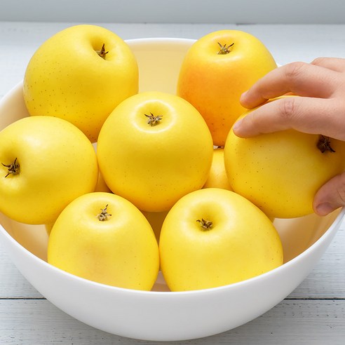 황금빛 유혹, 시나노 골드 사과: 당신의 식탁에 찾아온 가을의 선물 시나노골드사과