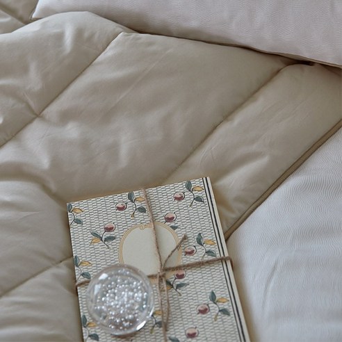 여름의 편안함을 위한 고급 스위스 실크코팅 플란뉴 아델라 이불