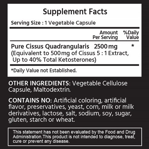 뻐근함과의 작별, 활력 넘치는 일상을 되찾아 줄 시서스