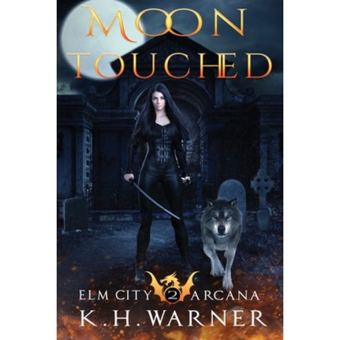 (영문도서) Moon Touched Paperback, Vibrant Circle Books LLC, English, 9781960081087