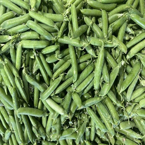 늘푸른농산 산지직송 노지재배 껍질 햇 완두콩, 4kg, 1박스