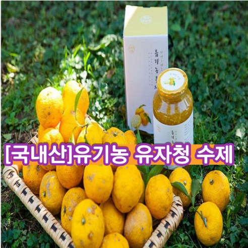[국내산]유기농 유자청 수제 무농약 유자 직접 재배한 유기농 유자로 만든 유자청 무농약 친환경 유기농 면역력 증진 효능 풍부한 섬유질 콜레스테롤 안정 피부미용 풍부한 비타민C, 1개, 1개입, 500g