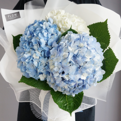 [오케이나우ㅣ인기상품] 플플 수국 화이트+블루: 완벽한 화이트블루 조화의 꿈결 같은 꽃다발 [OKNOWㅣ추천상품]