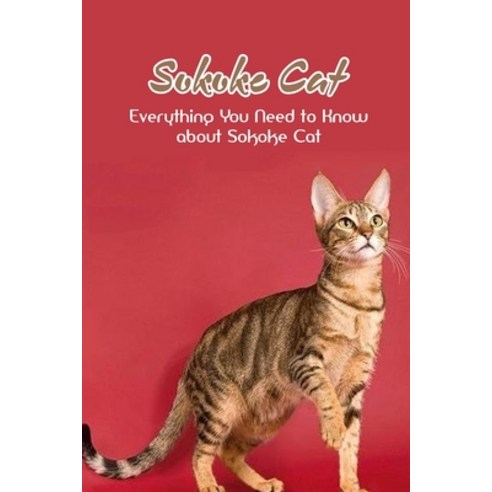 (영문도서) Sokoke Cat: Everything You Need to Know about Sokoke Cat: All Information About Sokoke Cat Breed Paperback, Independently Published, English, 9798462609718