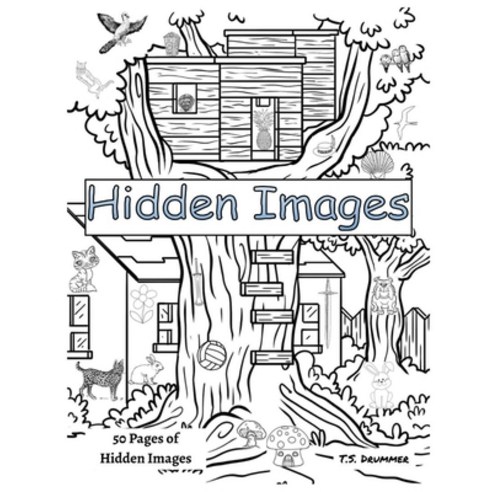 Hidden Images Paperback, Independently Published, English, 9798569759101