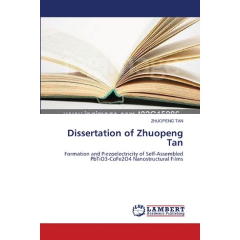 Dissertation of Zhuopeng Tan Paperback, LAP Lambert Academic Publis..., English, 9783838301136