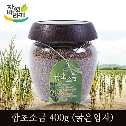 신안애 자연바라기 함초소금 (굵은입자), 800g, 2통