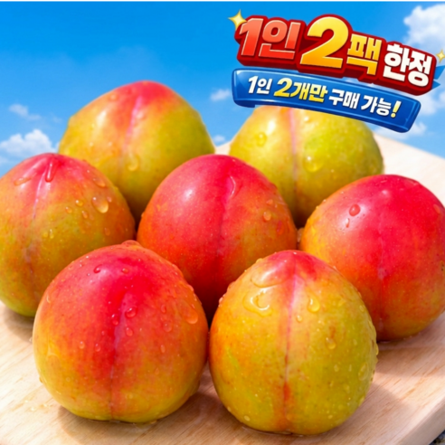 [선착순예약판매] 백화점마트납품  임산부입덧 하우스자두 햇자두