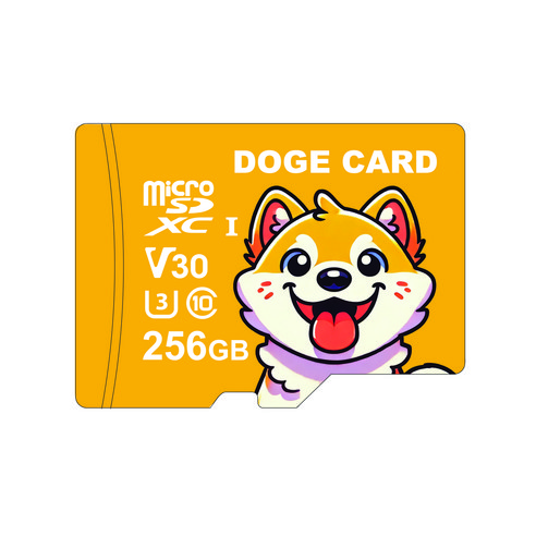 도지카드 초고속 마이크로 SD카드 UHS-I 블랙박스 전용 메모리카드, 1개, 256GB