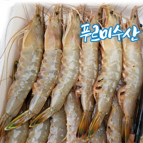 자연산 대하 1Kg 35미내외 왕새우 국내산 태안 안면도 신진도 산지직송 모임 여행 캠핑 선물, 1개 신안활새우