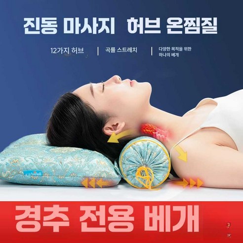 넥가드닥터목견인기 교정기 의료용 치료 가정용, R