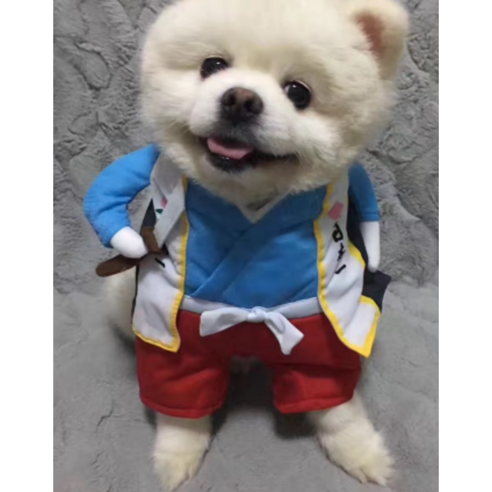 인텔리펫 고양이 옷 강아지 코스튬 코스프레, 무사, 1개