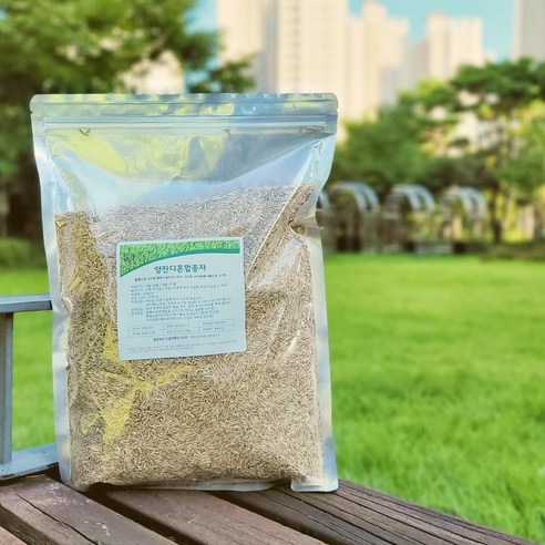 튼튼하고 내구성이 뛰어난 양잔디혼합종자로 아름다운 잔디밭을 만드세요