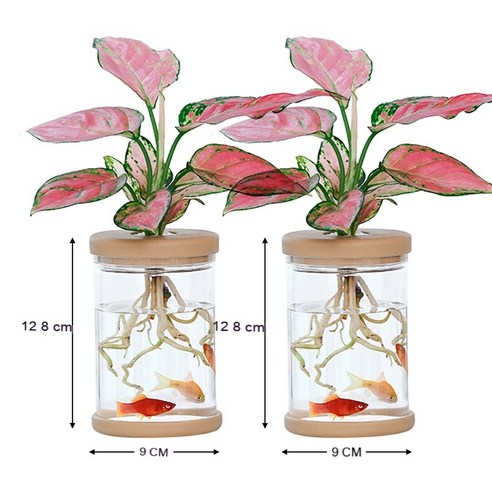 MEIISEO가정용 북유럽 스타일 투명 유리꽃병 수경 유리화병 꽃병 도자기 화병, 2PCS L