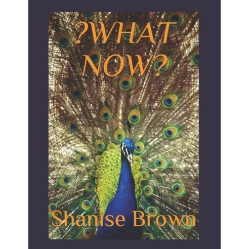 ?What Now? Paperback, Independently Published, English, 9798584016982