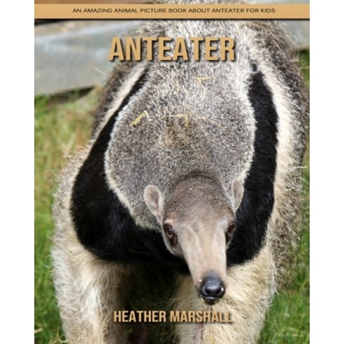 Anteater: An Amazing Animal Picture Book about Anteater for Kids Paperback, Independently Published, English, 9798730910607