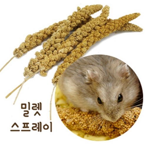 햄스터 간식 밀렛 스프레이 500g, 단품