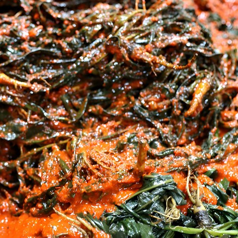 쌉싸름한 매력에 잃어버린 입맛을 되찾다, 전라도 여수 고들빼기 김치