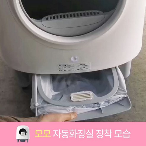 50% 할인! 디클펫 배변봉투로 냥이 화장실, 간편하고 쾌적하게!
