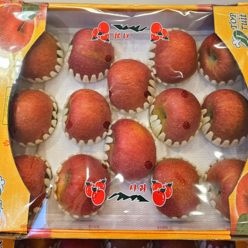 풍요로운 결실의 맛, 고당도 프리미엄 꿀사과 선물세트