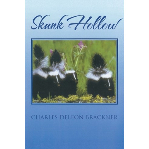 (영문도서) Skunk Hollow Paperback, Stratton Press, English, 9781648957109
