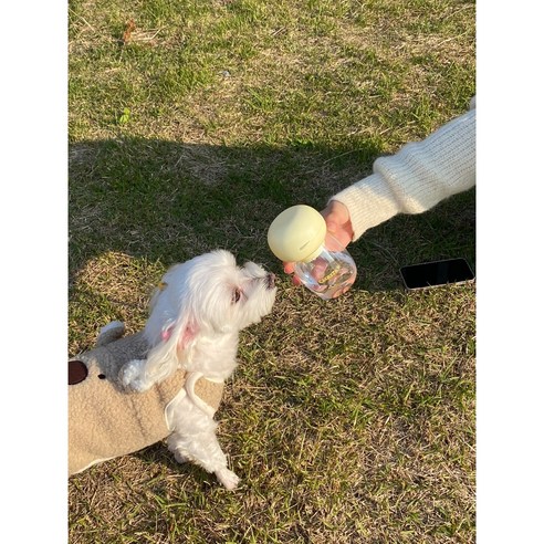 까치토 더보틀 휴대용 강아지 고양이 물통 애견 산책물병 원터치 급수기, 1개