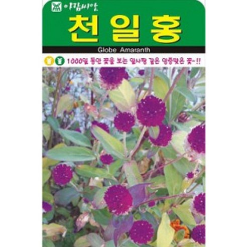 알사탕 같은 천일홍 씨앗(100립)(A0711)