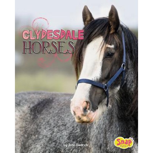 Clydesdale Horses Hardcover, Capstone Press