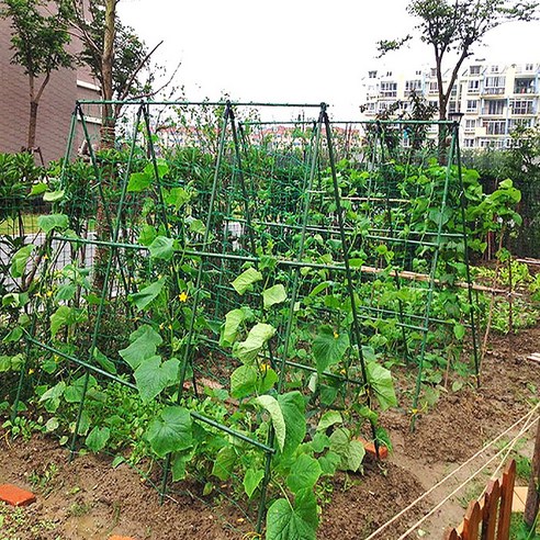 튼튼한 지지대로 텃밭 작물의 건강한 성장과 풍성한 수확을!