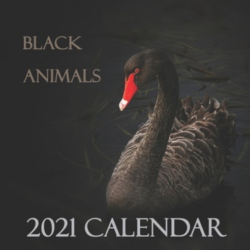 (영문도서) Black Animals 2021 Calendar: 2021 Wall Calendar 12 Months (8.5x8.5 inch) Paperback, Independently Published, English, 9798716879201
