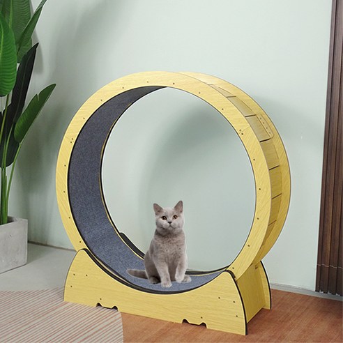 OCICC 캣휠 가성비 저소음 고양이 운동 용품 장난감 펫휠, XL, XL