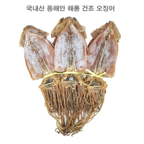 자연건조 동해바다 마른오징어(국산), 850g(대 10마리), 1개