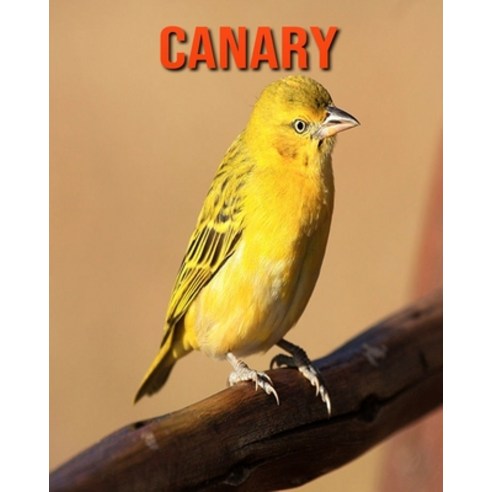 Canary: Amazing Facts about Canary Paperback, Independently Published, English, 9798695291995