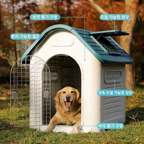 반려견을 위한 완벽한 공간