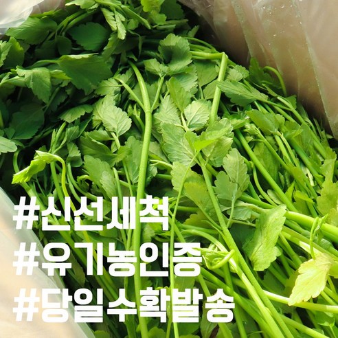 유기농인증 밭에서 제배한 옥산 하우스 세척 미나리 산지직송 당일수확발송 특가할인  리뷰 후기