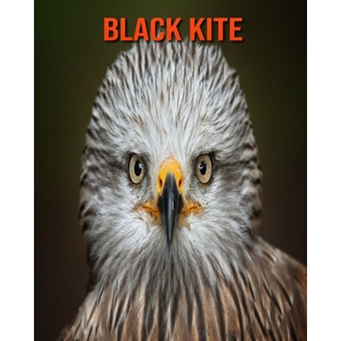 Black kite: Beautiful Pictures & Interesting Facts Children Book About Black kite Paperback, Independently Published, English, 9798744707095