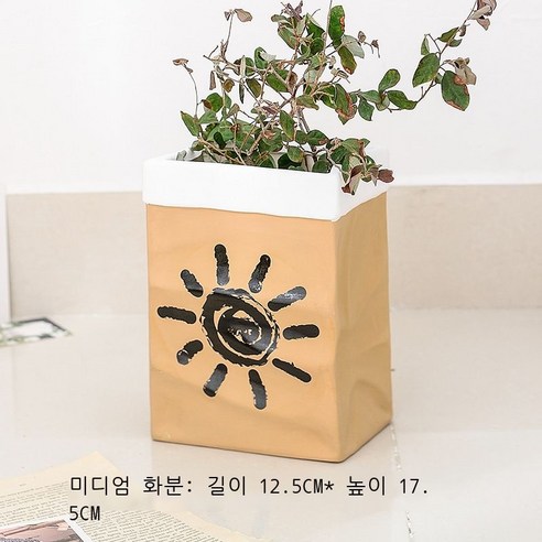 창의 도자기 화분 착지 대형 모조 소가죽 종이 화기 장식품 데스크톱 분재 모조 식물 북유럽, 중호 크라프트지 태양