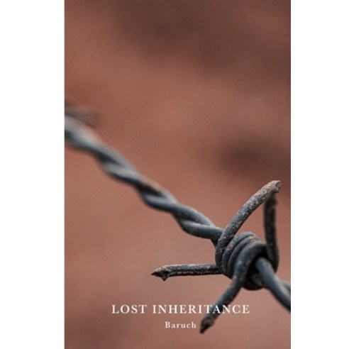 Lost Inheritance Paperback, Lulu.com, English, 9781008995512