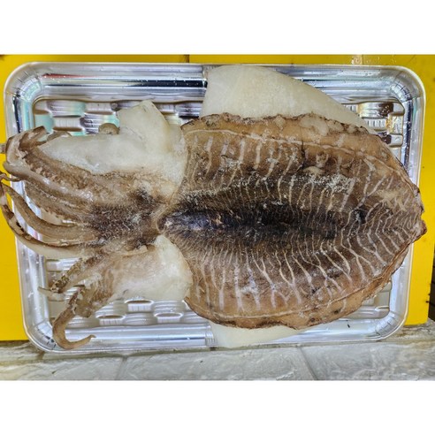 쫄깃함이 살아있는 밥도둑, 반건조 갑오징어