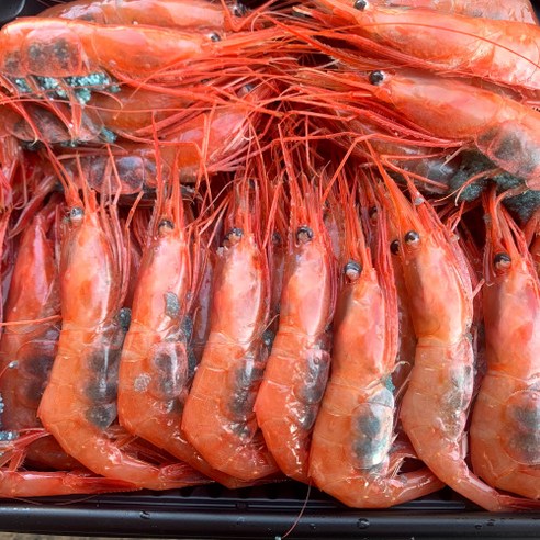 최고의 횟감과 요리에 신선한 바다의 맛을 선사하는 동해안 급냉 홍새우