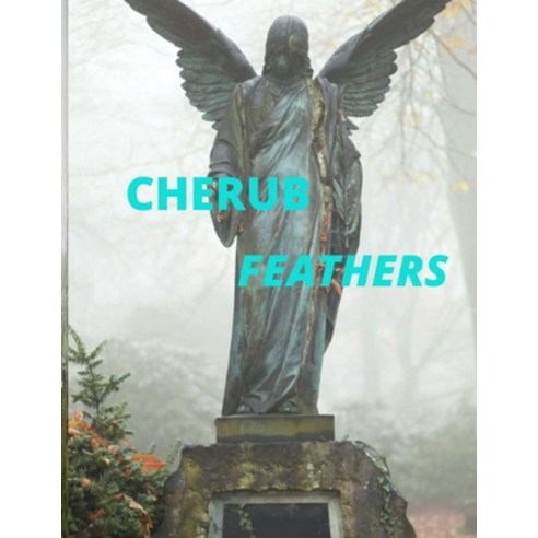 (영문도서) Cherub Feathers Paperback, Independently Published, English, 9798549721784