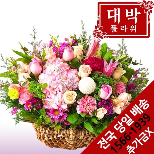 대박플라워 니가제일이뻐 꽃바구니 생일선물 기념일 출산꽃선물 병문안 꽃배달
