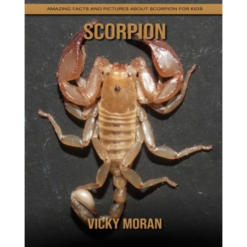 Scorpion: Amazing Facts and Pictures about Scorpion for Kids Paperback, Independently Published, English, 9798739108968