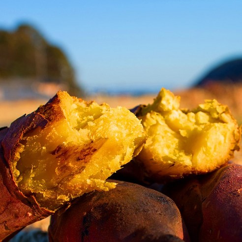 해남 황토 꿀고구마 5kg 맛과 건강을 동시에 만나다